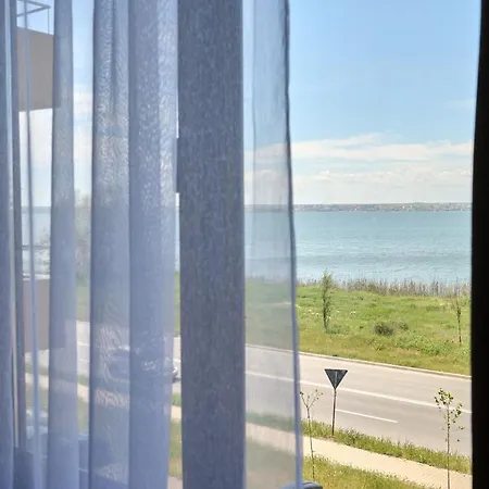 Alina View